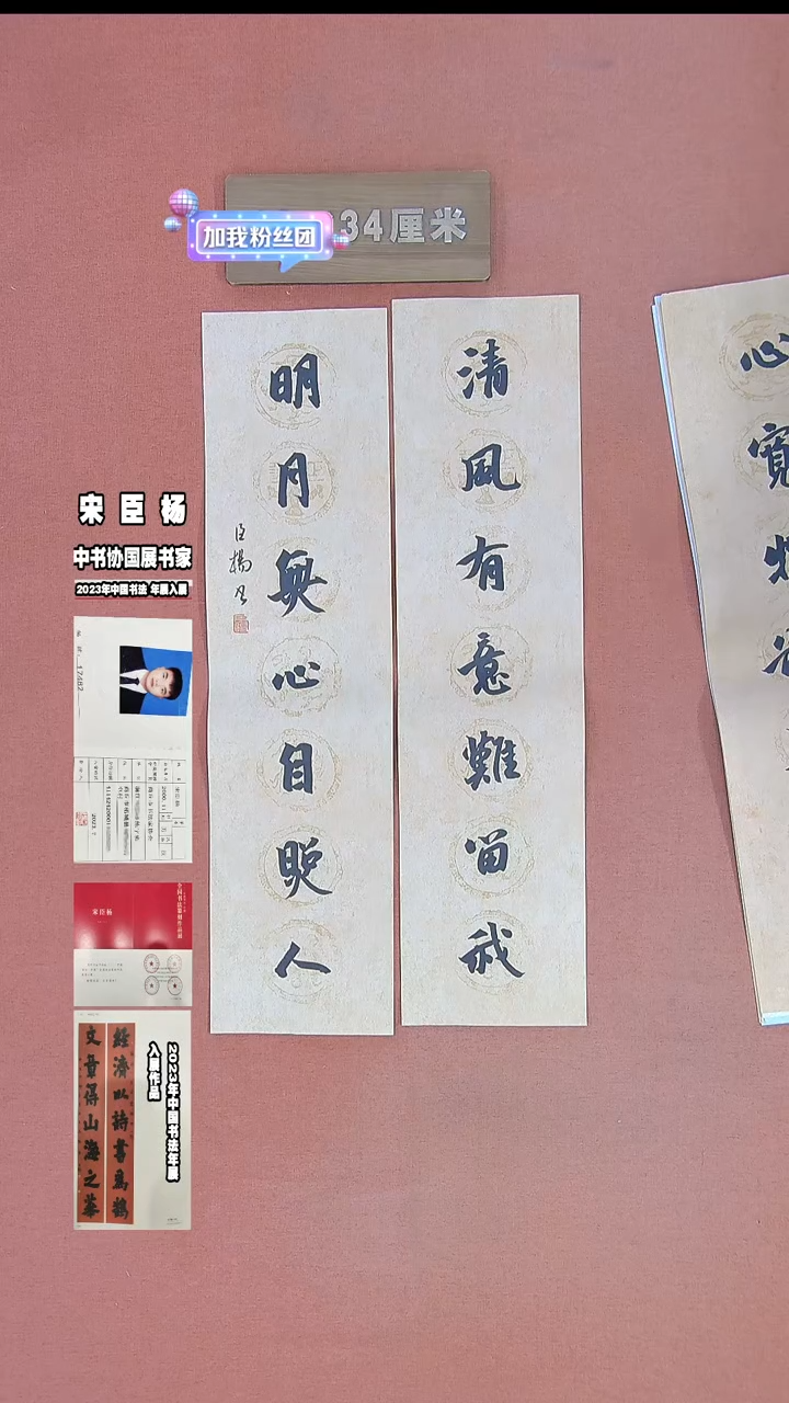 【闪购商品】书法112宋臣杨书法作品