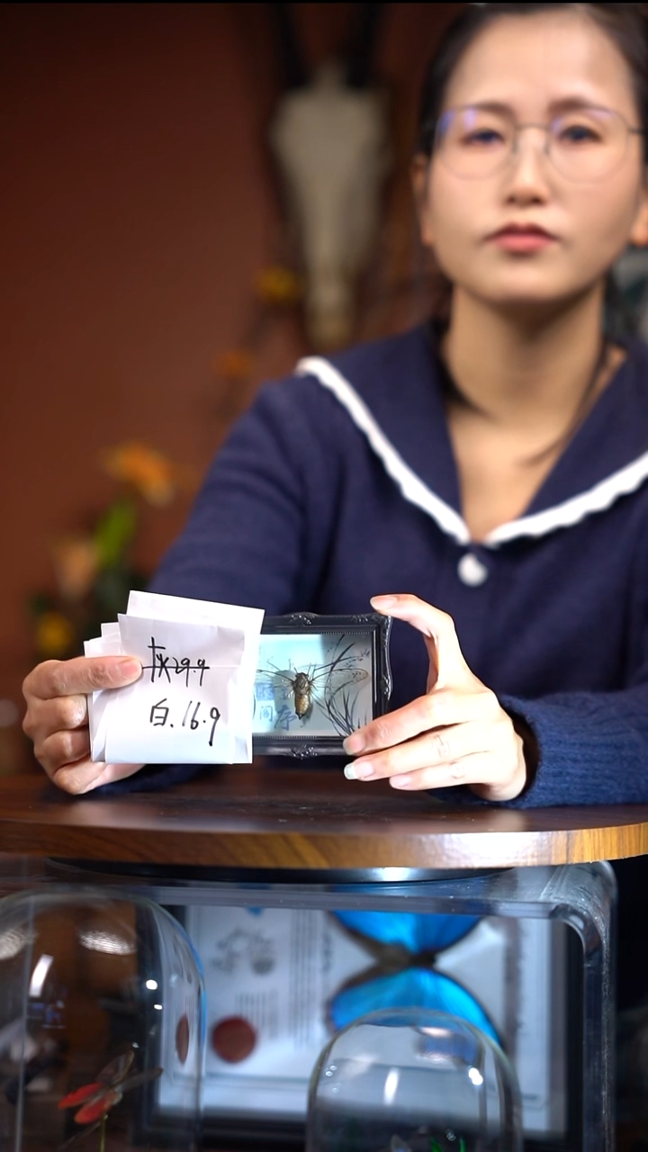 模****站N064   榨蝉