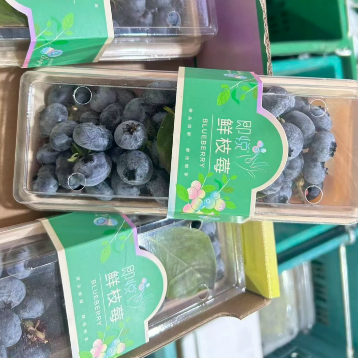 【一盒】大果云南鲜枝莓蓝莓半斤装云南省云南省