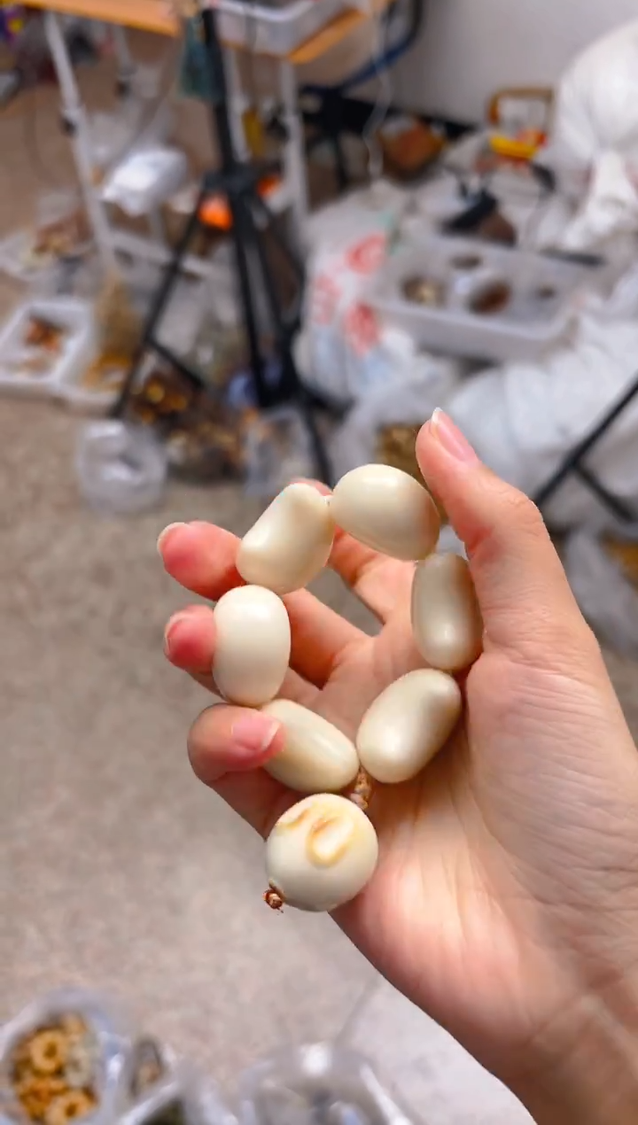 吊坠菩提根/象牙果月呀手捻 新款馒头兔