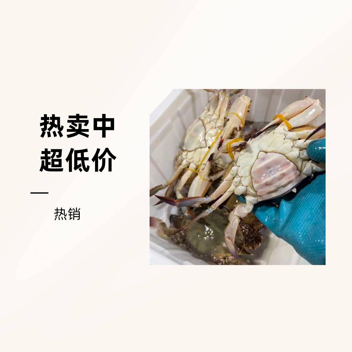8【保鲜不保活】精品母蟹4-5两一斤2到3只