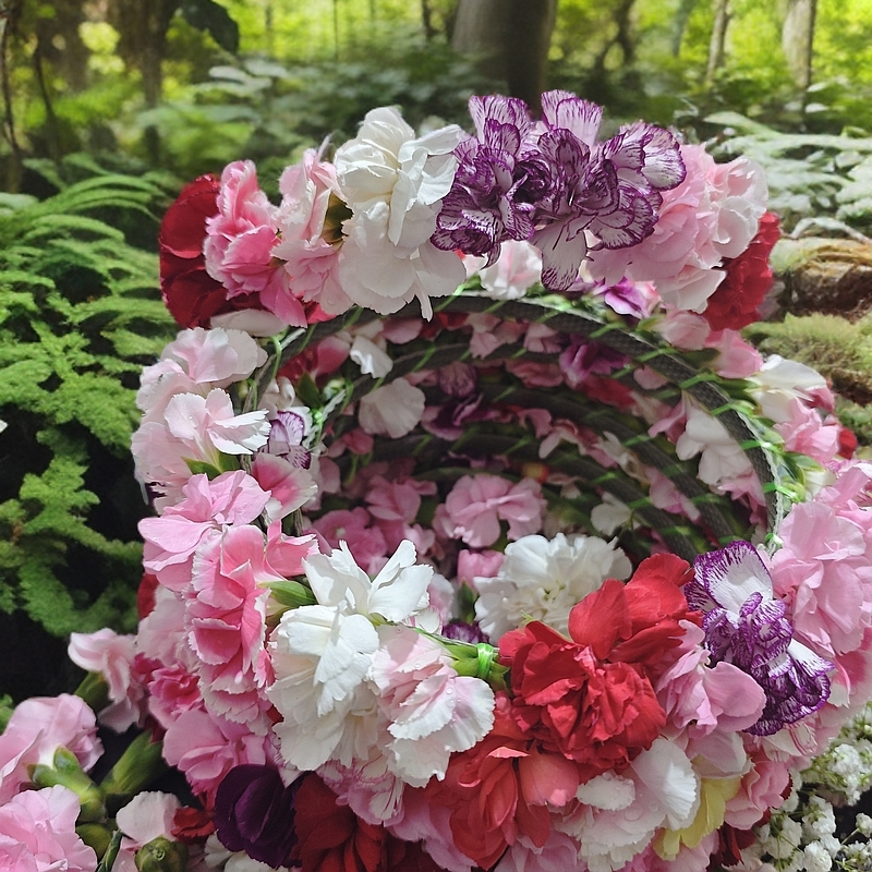 康乃馨鲜花花环云南基地直发花期长旅游首先