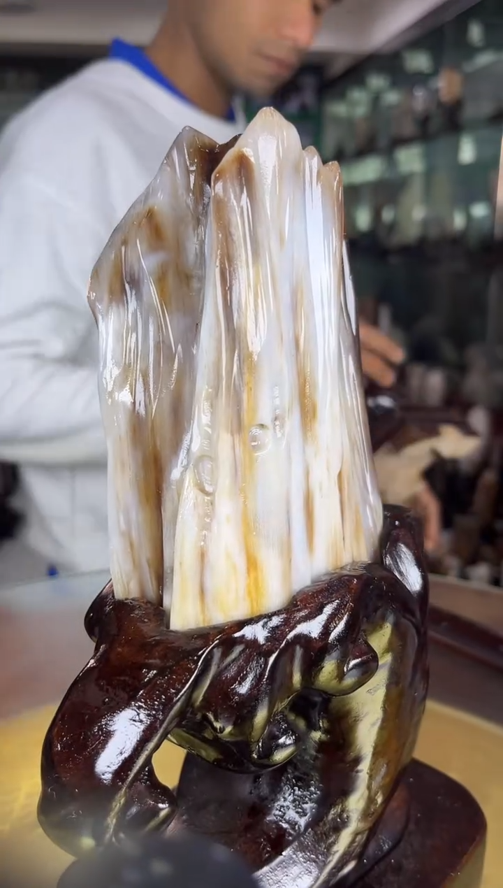 未镶嵌珠宝奇石硅化玉缅甸天然树化玉精品居家摆件