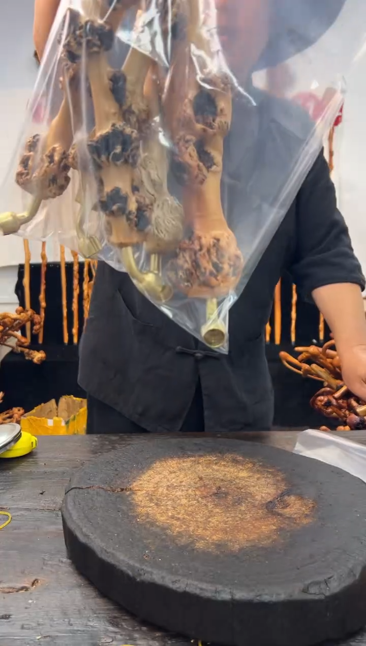 黑果木其他黑果木683