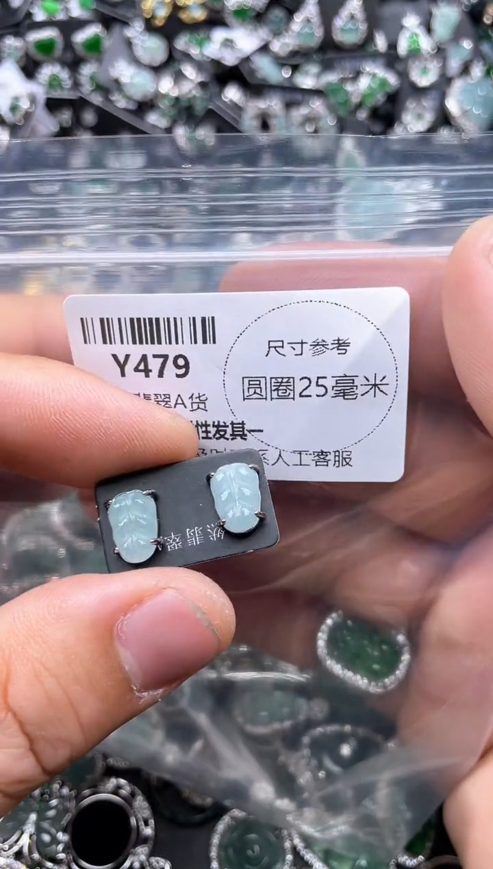 【闪购商品】翡翠颈饰未镶嵌Y479耳钉