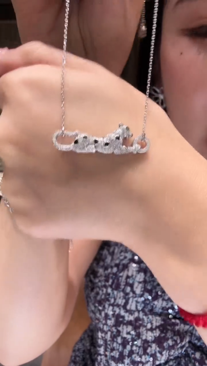 项链铂Pt950镶嵌钻石 AY0248-PT-45 满钻豹子