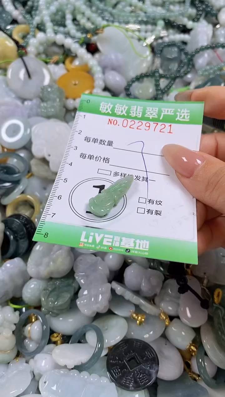 翡翠未镶嵌颈饰闪购0229721