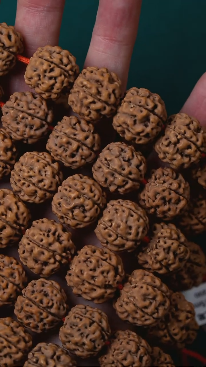 手串金刚菩提盘龙单圈