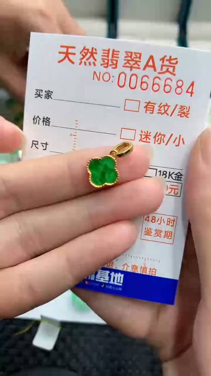 【闪购商品】翡翠颈饰银S925镶嵌            8