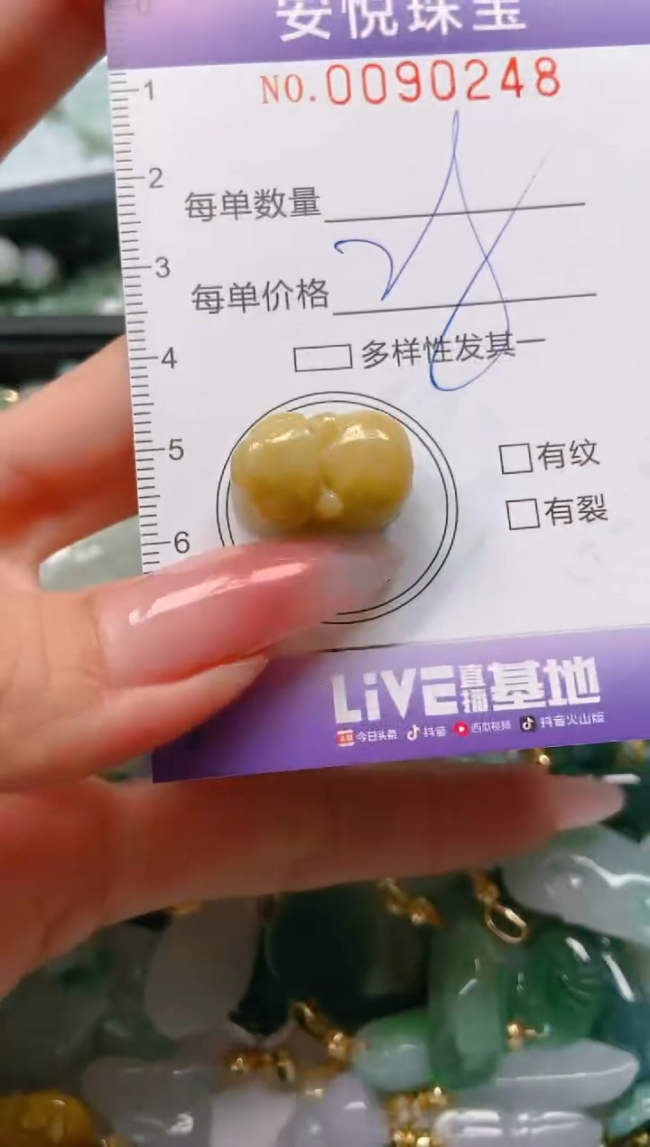 【闪购商品】翡翠颈饰未镶嵌闪购0090248