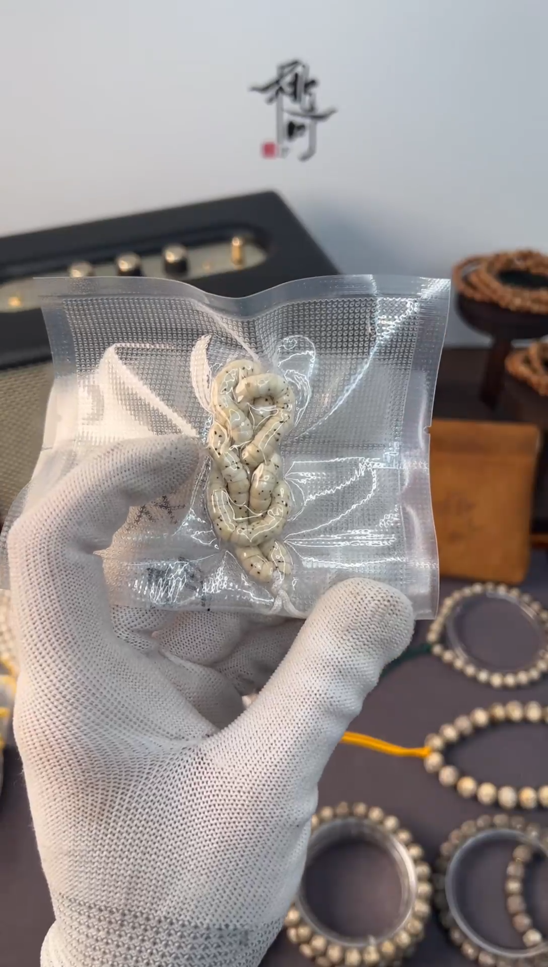 手串星月菩提海南同枝果原生态数星星大肠6mm