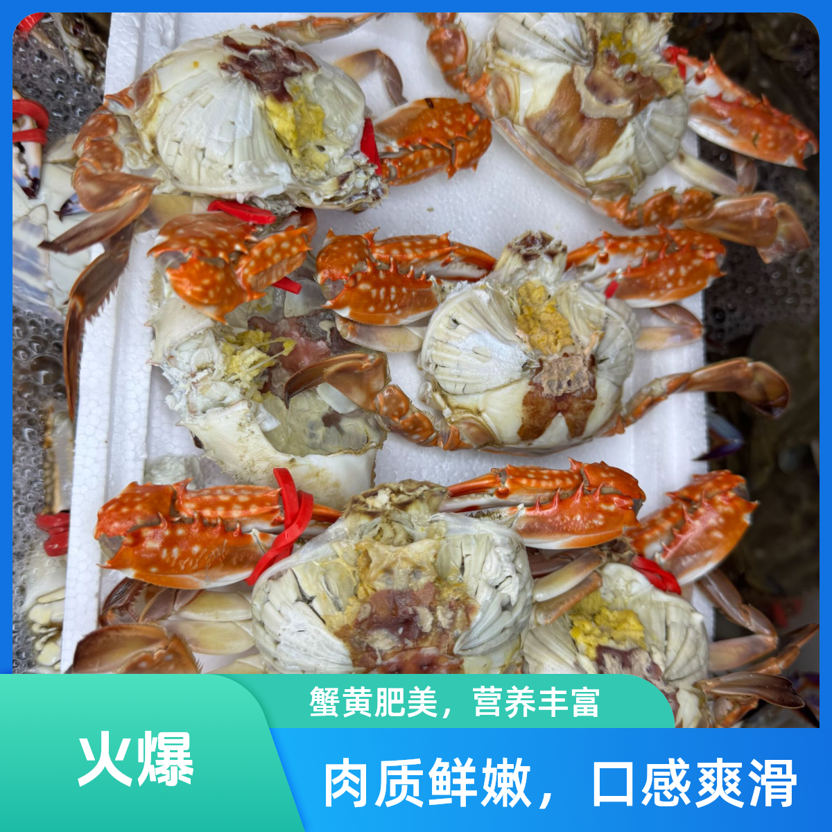 莱州湾梭子蟹花脐单只2.5两100元3斤【保鲜不保活】