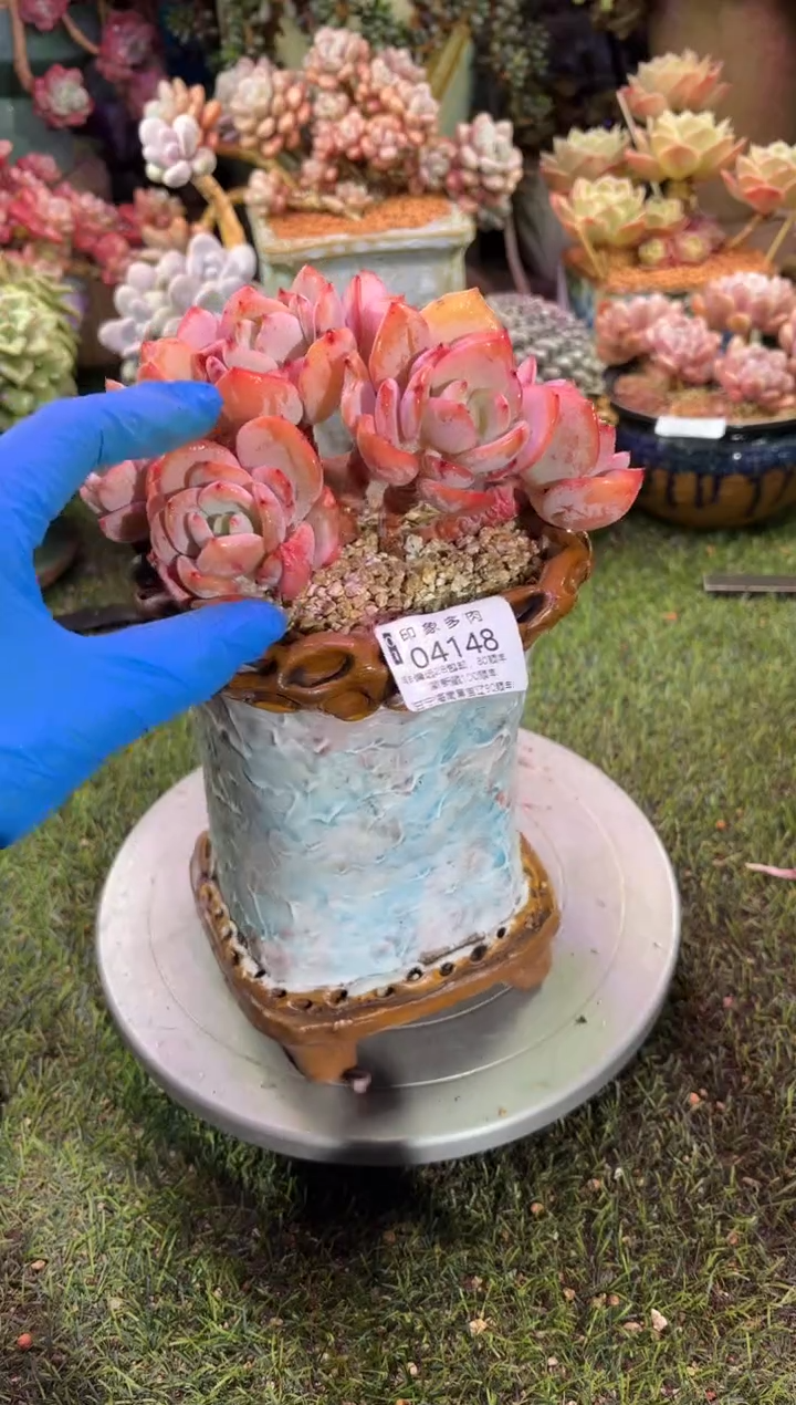 【闪购商品】04148