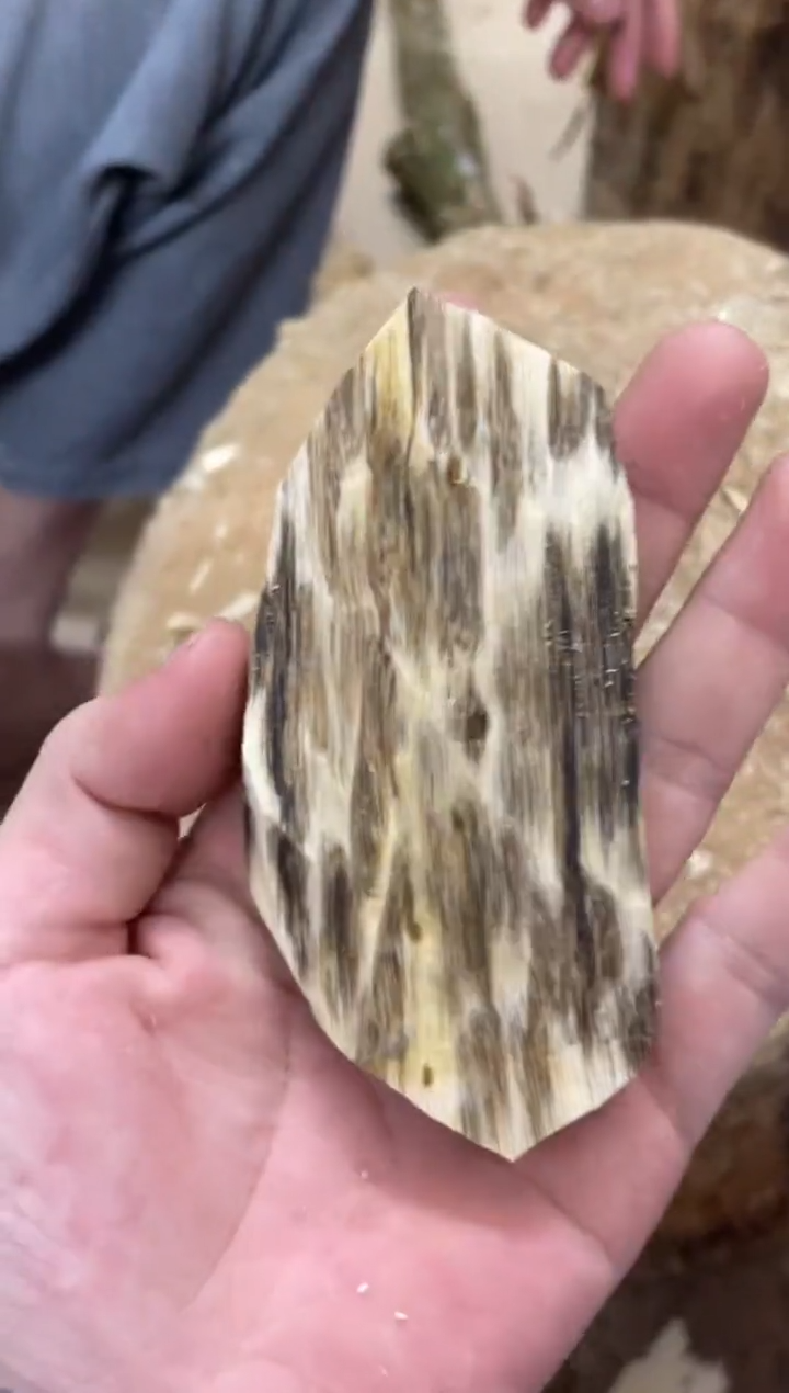 沉香沉香碎屑棋楠沉香 原料文创1