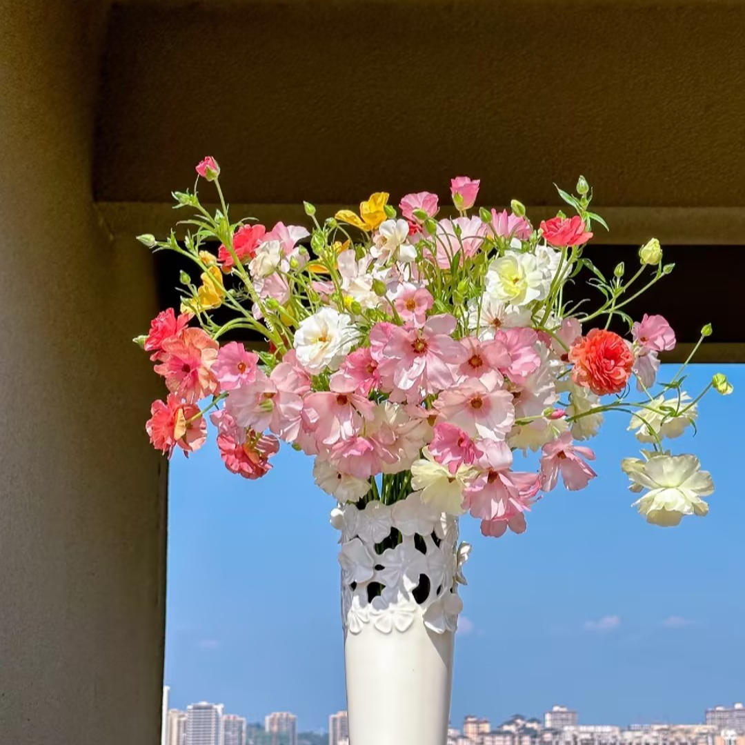 【一品花集】【混色】蝴蝶洋牡丹 云南昆明基地发货家用鲜花