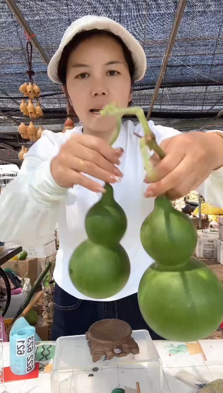 621天然葫芦摆件 一物一拍龙头不保售后