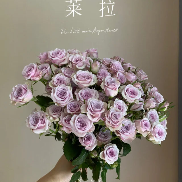 10枝【莱拉】多头玫瑰 一单中通，二单中通冷链，三单顺丰冷链包邮
