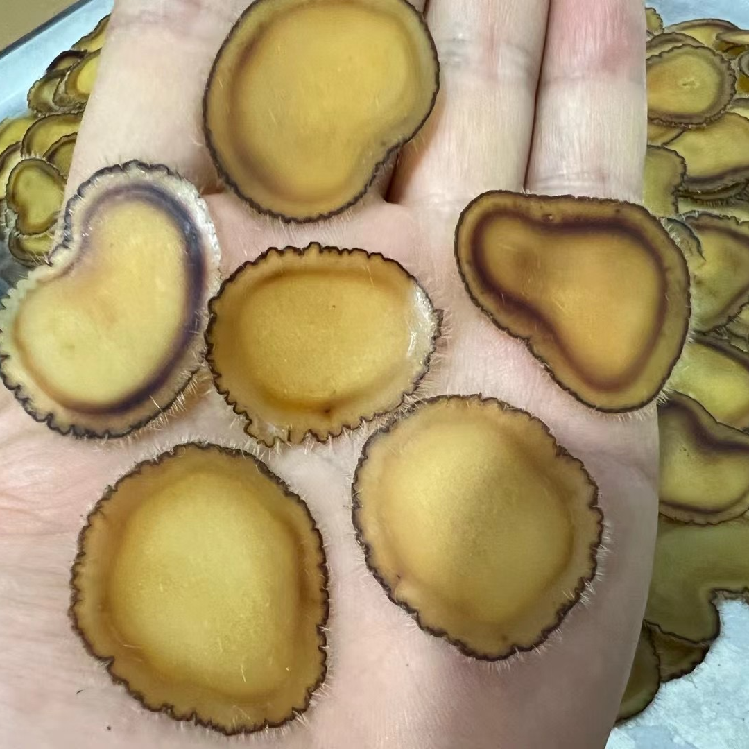 全蜡片滋补营养泡水煲汤