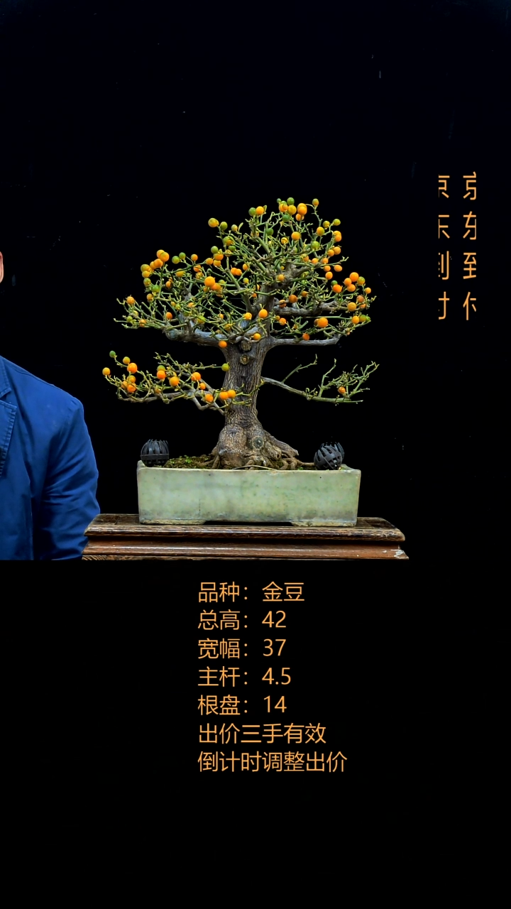 无花朵用****80000000000000000