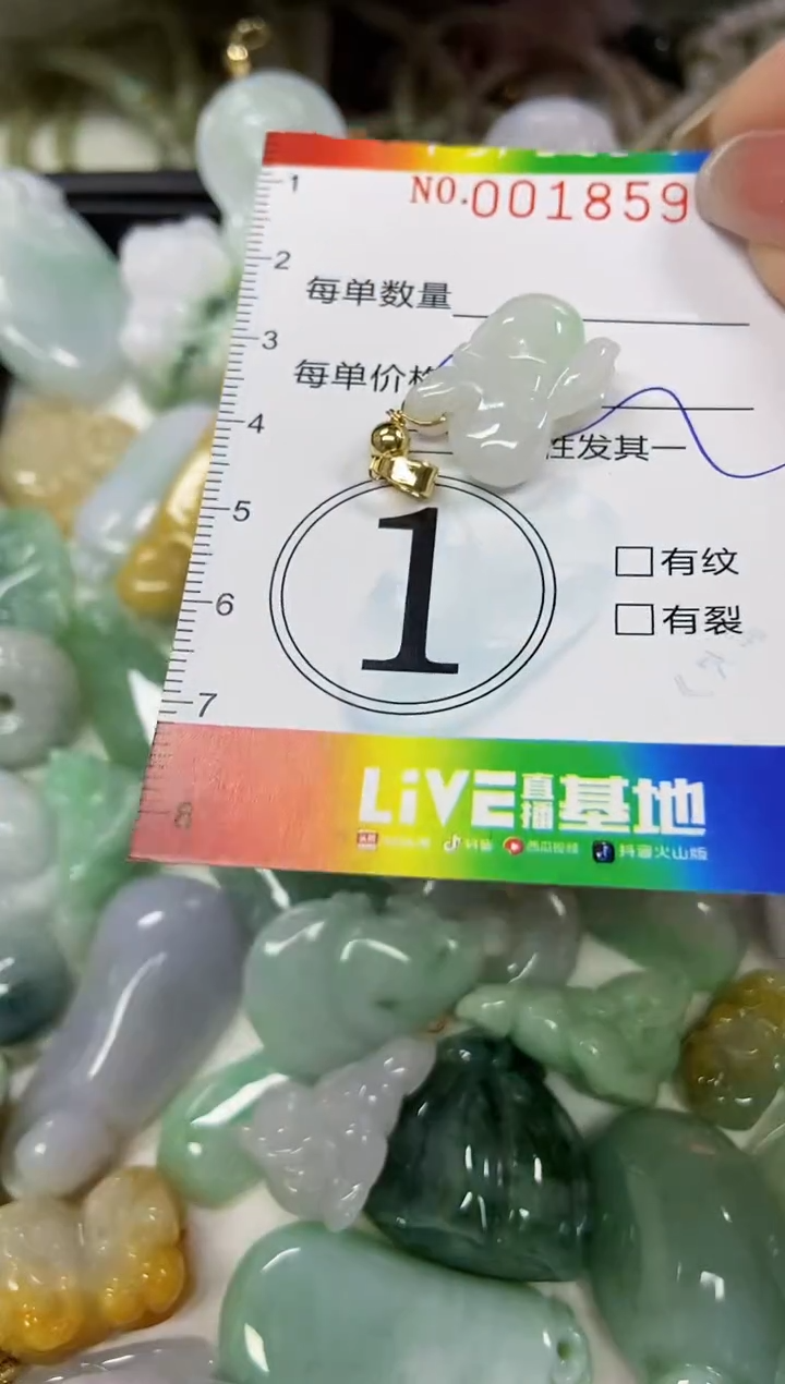 【闪购商品】翡翠颈饰未镶嵌闪购0018597