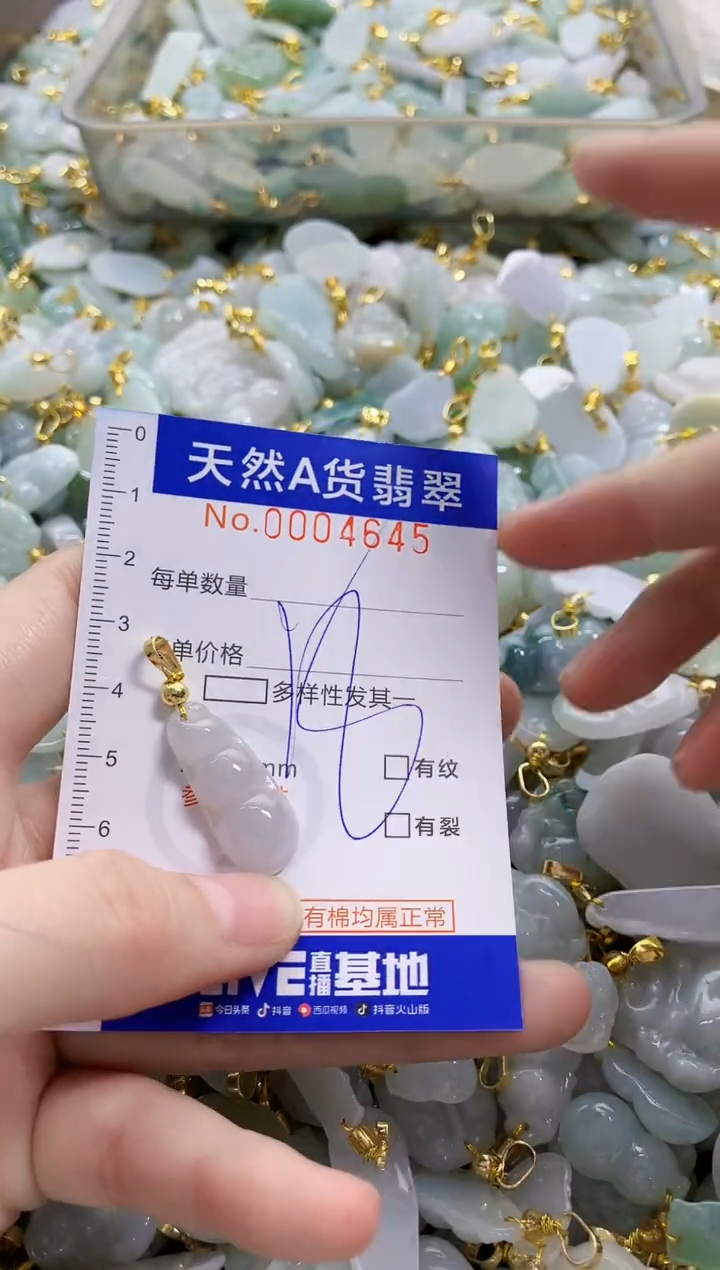 颈饰未镶嵌翡翠天然A货翡翠