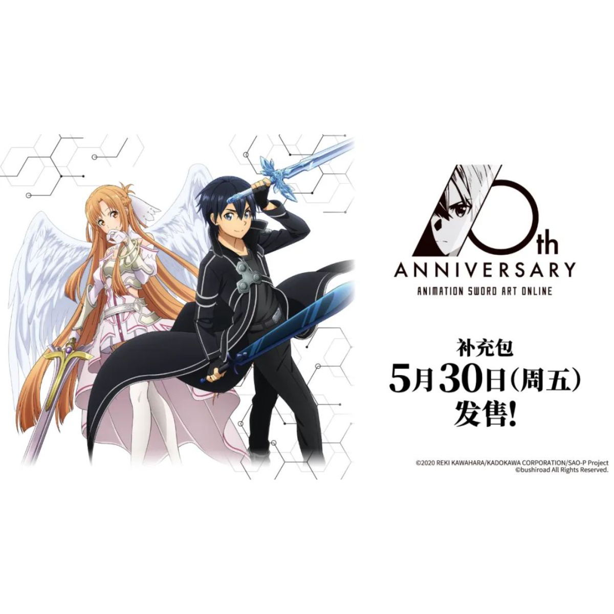 WS黑白双翼简中 刀剑神域 补充包