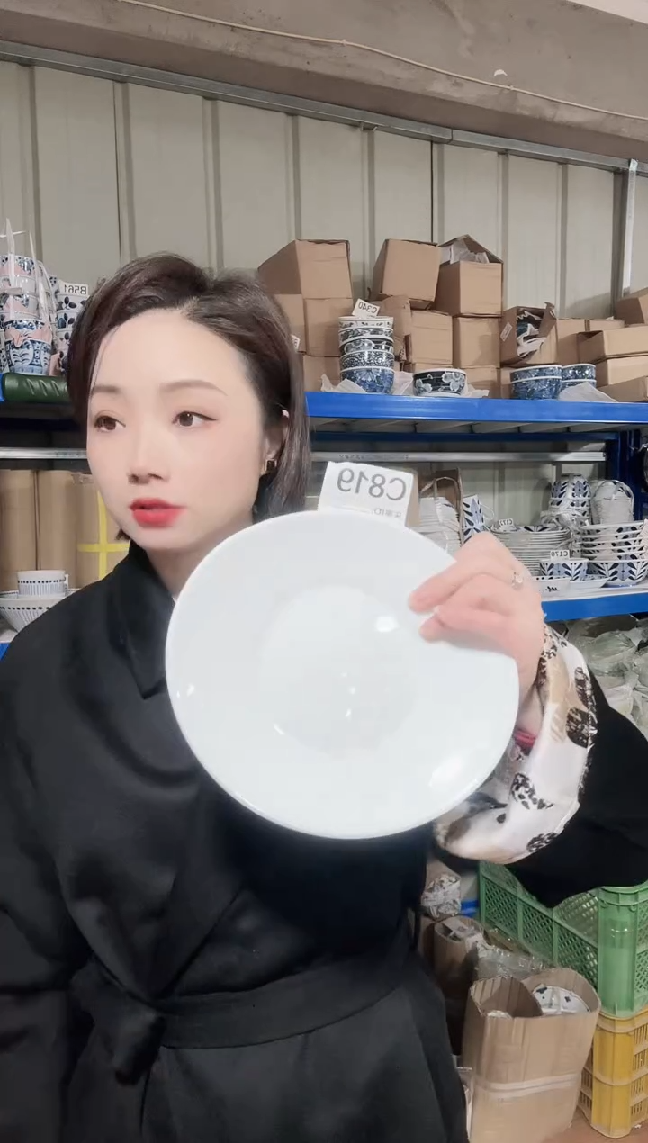瓷片意大利进口家用百货 玻璃瓷21cm盘两只C819