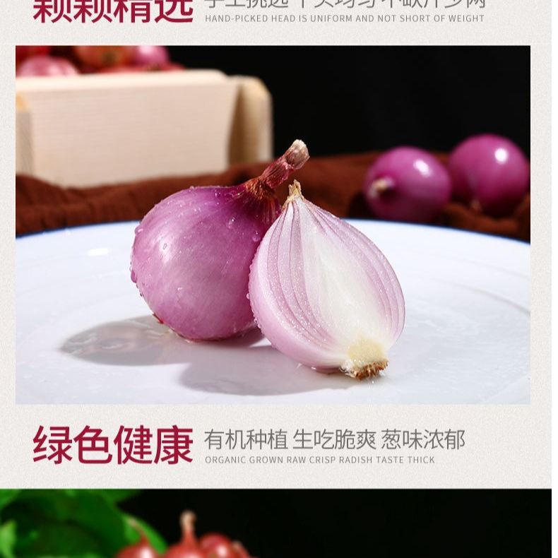 紫红皮珍珠小洋葱可生吃炒菜凉拌微辣微甜的当季蔬菜