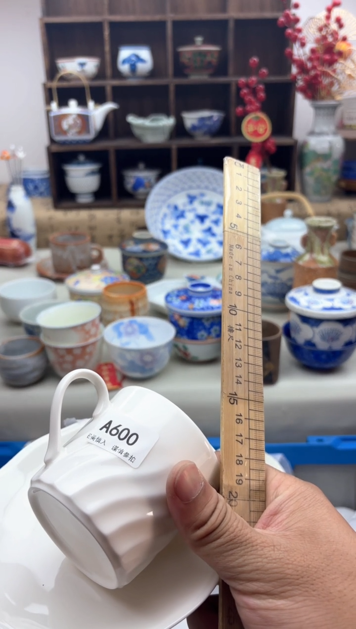 【闪购商品】碟A600............