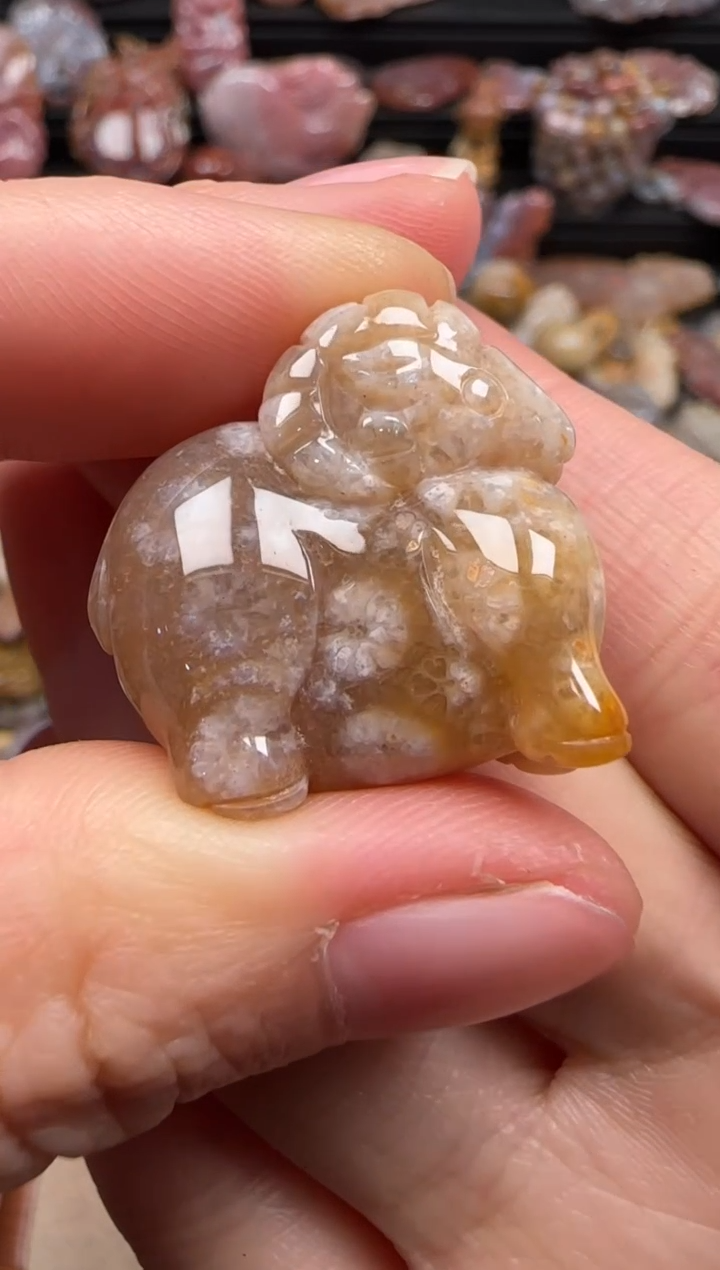 【闪购商品】硅化珊瑚（珊瑚玉）颈饰未镶嵌722