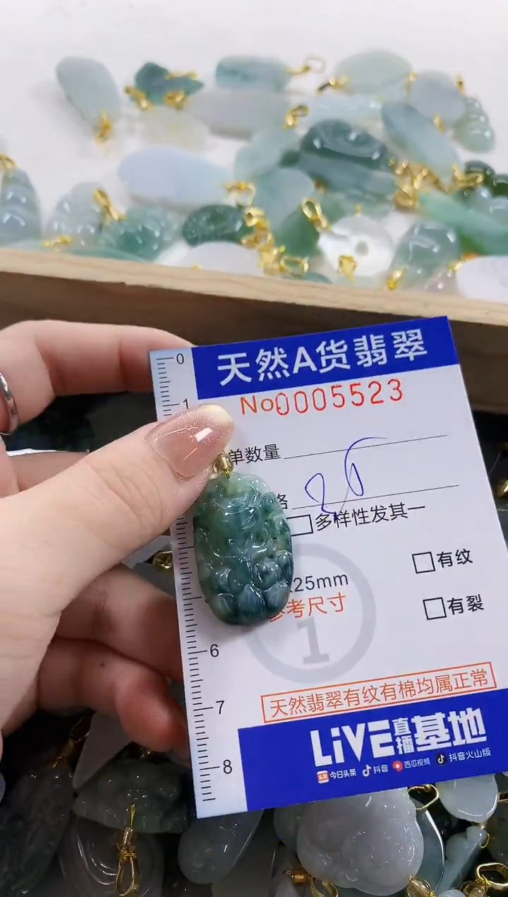 颈饰未镶嵌翡翠天然A货翡翠
