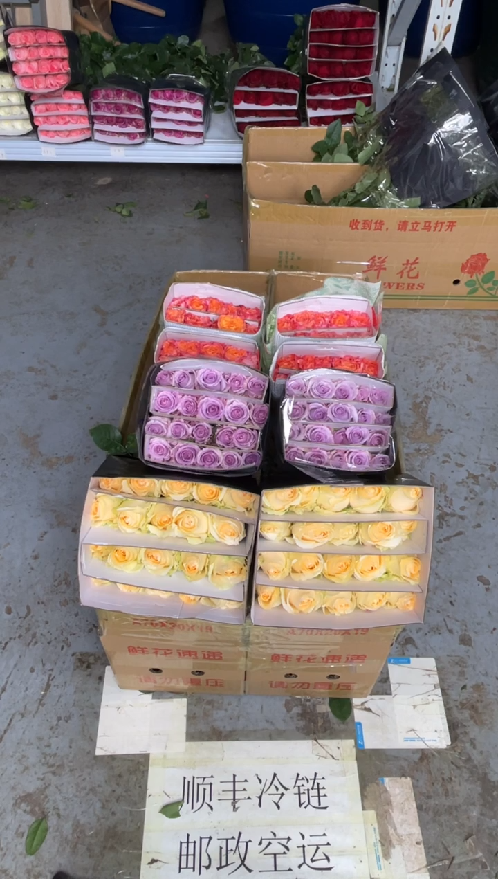 香槟20枝+海洋之歌20枝+火灵鸟20枝