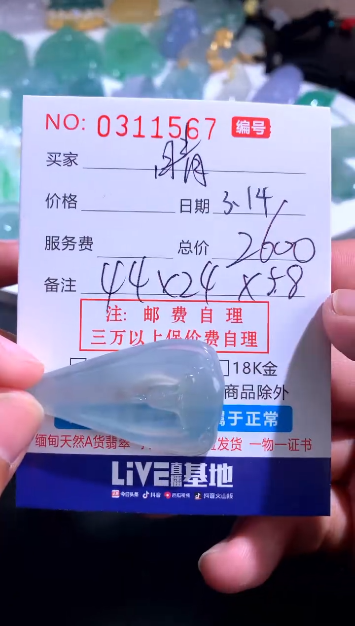 【闪购商品】翡翠未镶嵌颈饰晴