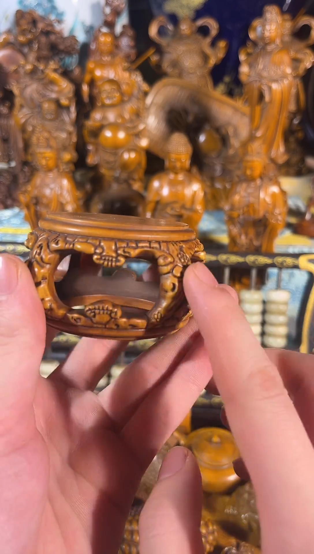 黄杨木011111111111