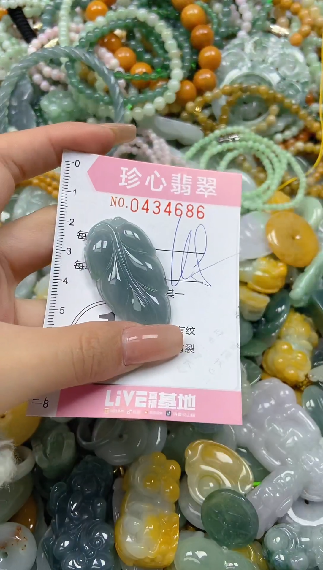 颈饰未镶嵌翡翠闪购0434686
