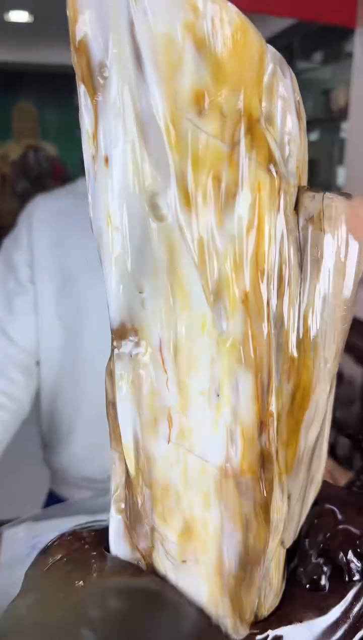 未镶嵌珠宝奇石硅化玉缅甸天然树化玉精品居家摆件