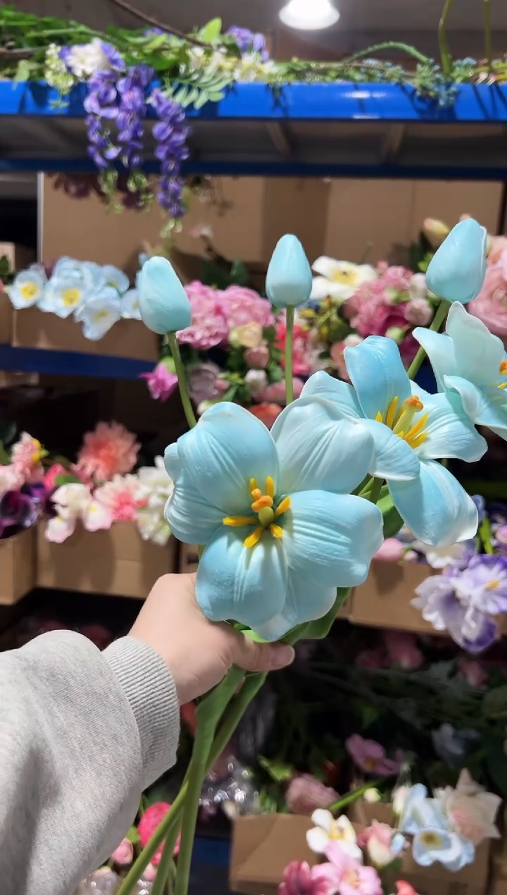 3枝蓝色2头布朗尼