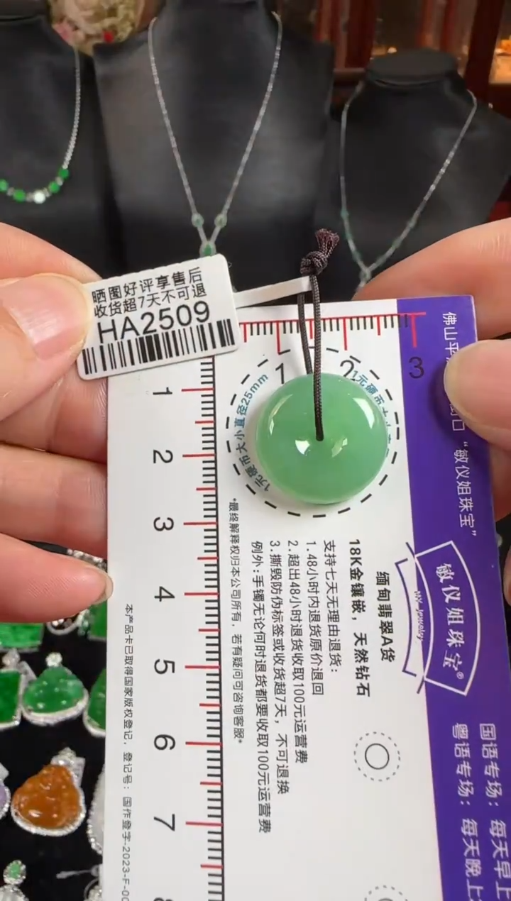 颈饰未镶嵌翡翠HA2509冰绿平安扣