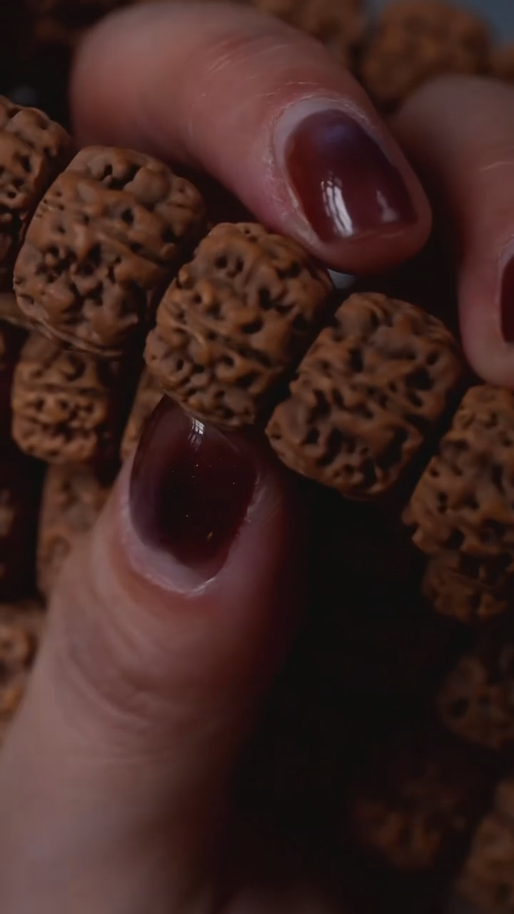 手串金刚菩提S05大盘龙单圈