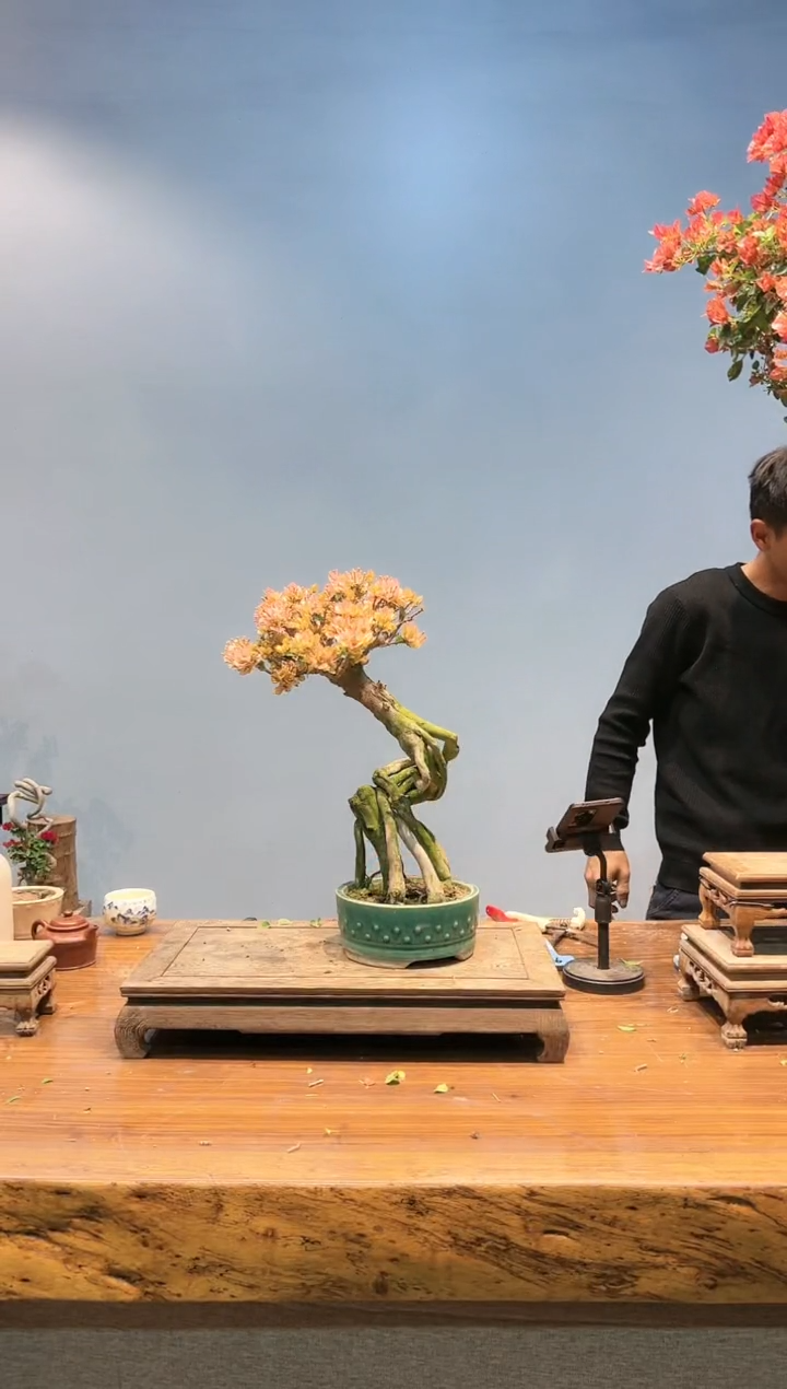 【闪购商品】aa931