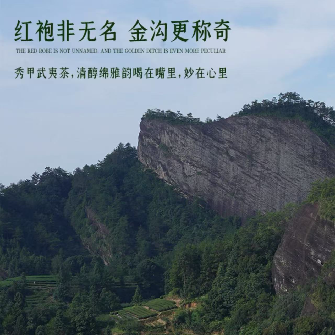 跨年惊喜大礼盒999