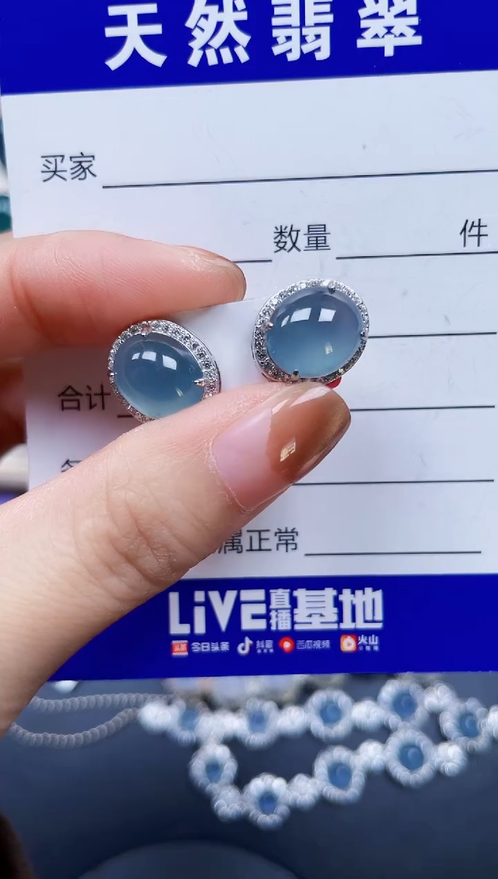 银S925镶嵌翡翠耳饰203