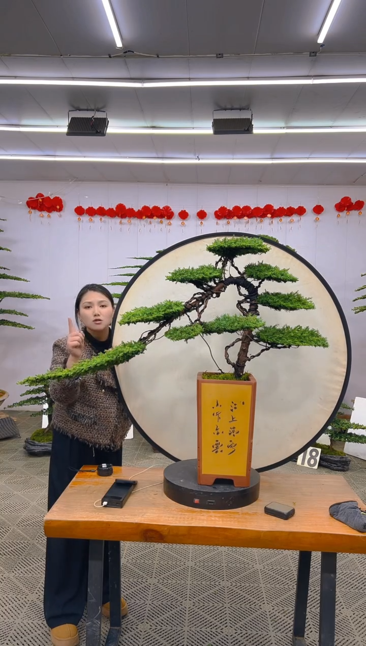 【闪购商品】盆景1