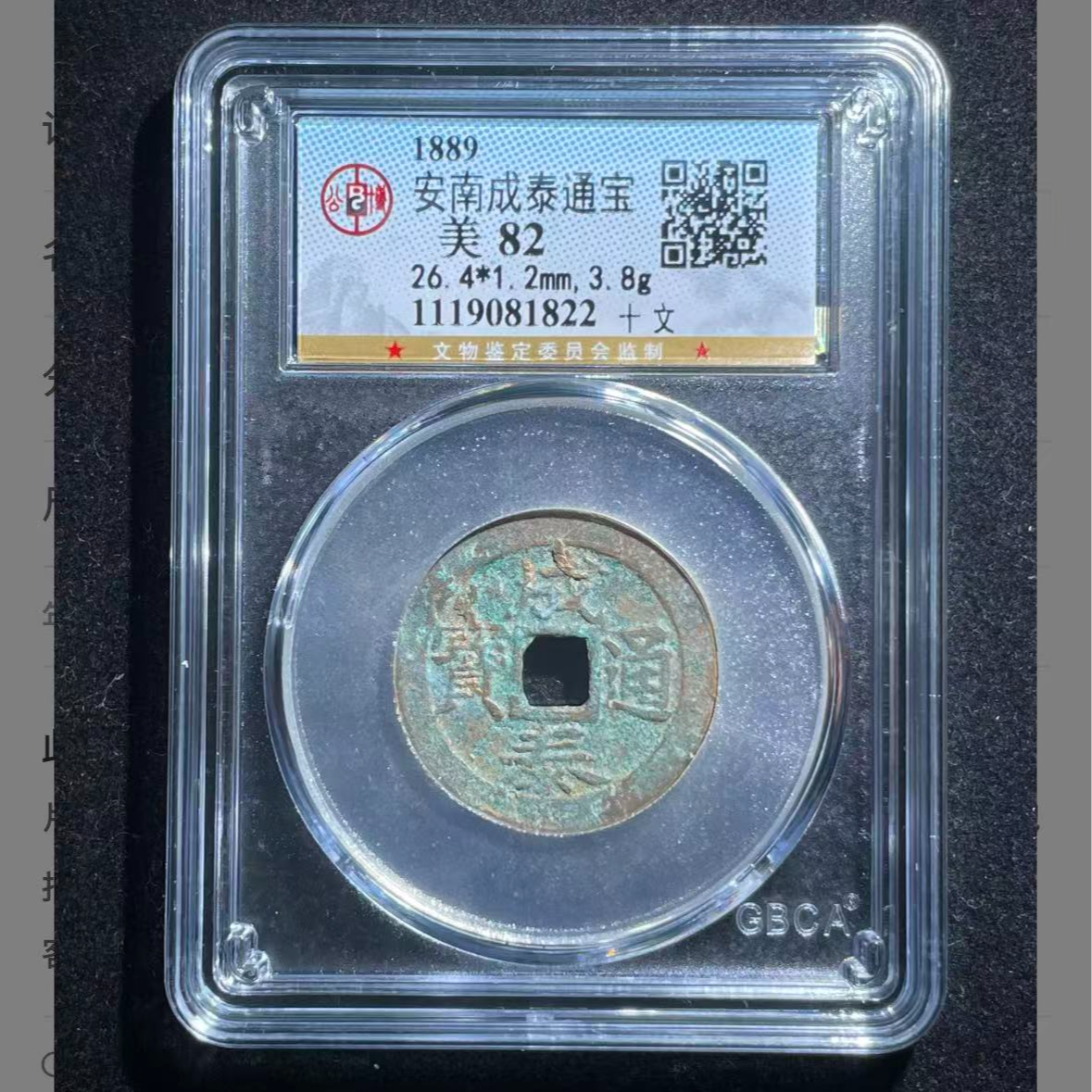 公博安南成泰通宝十文钱币5