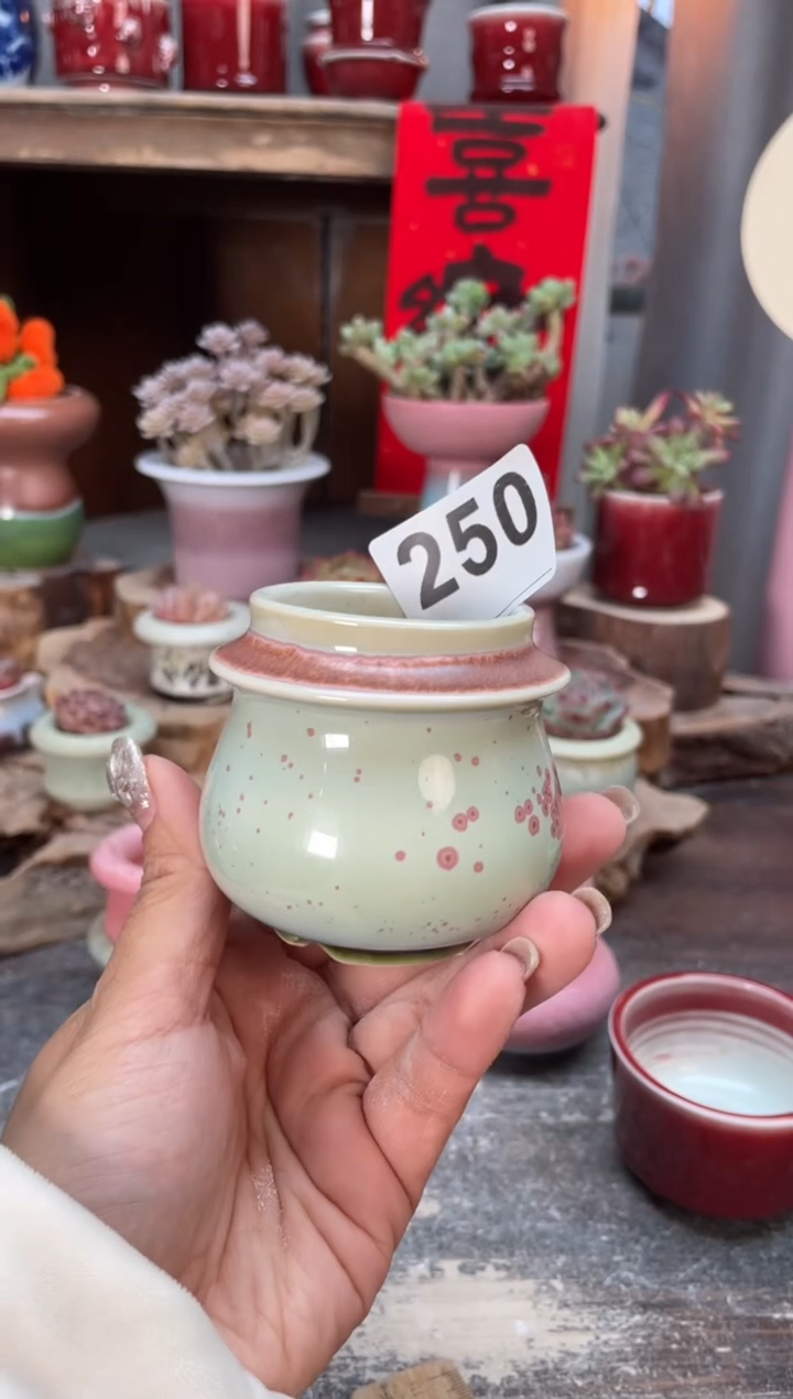 【闪购商品】摆件250知木小芳花盆