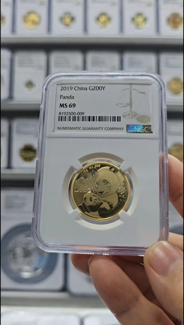 【闪购商品】纯金2019年熊猫金币NGC69无盒证