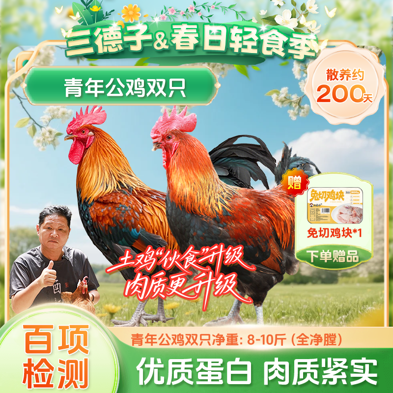三德子 【两只青年公鸡升级】正宗山林五谷散养大公鸡 包冰率不含冰商品图