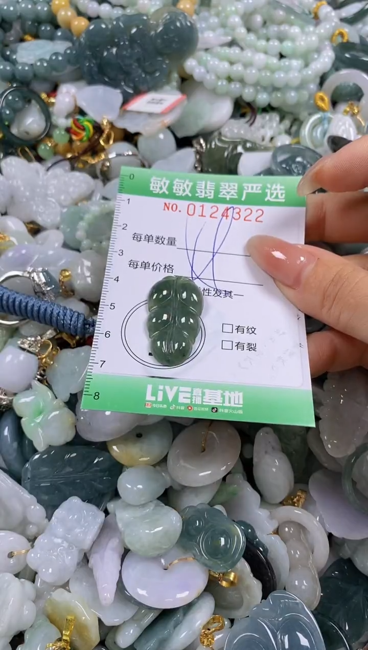 【闪购商品】翡翠颈饰未镶嵌闪购0124322