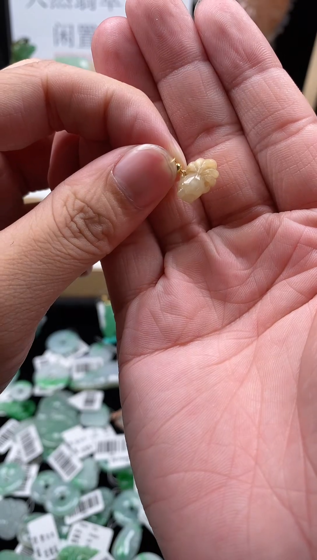 【闪购商品】翡翠颈饰未镶嵌148金鱼