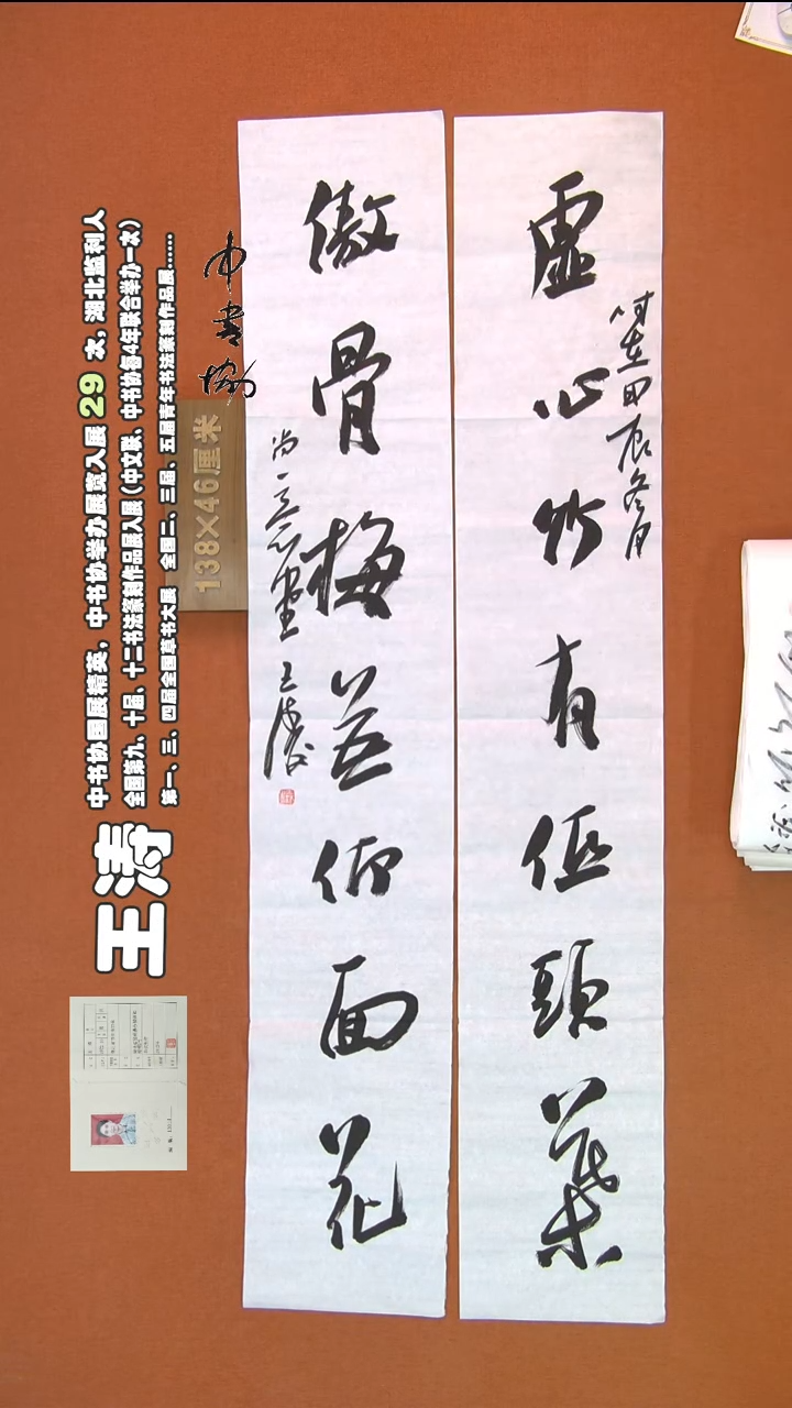 【闪购商品】书法285王涛书法作品